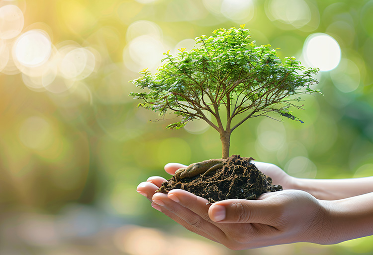 our growing footprint